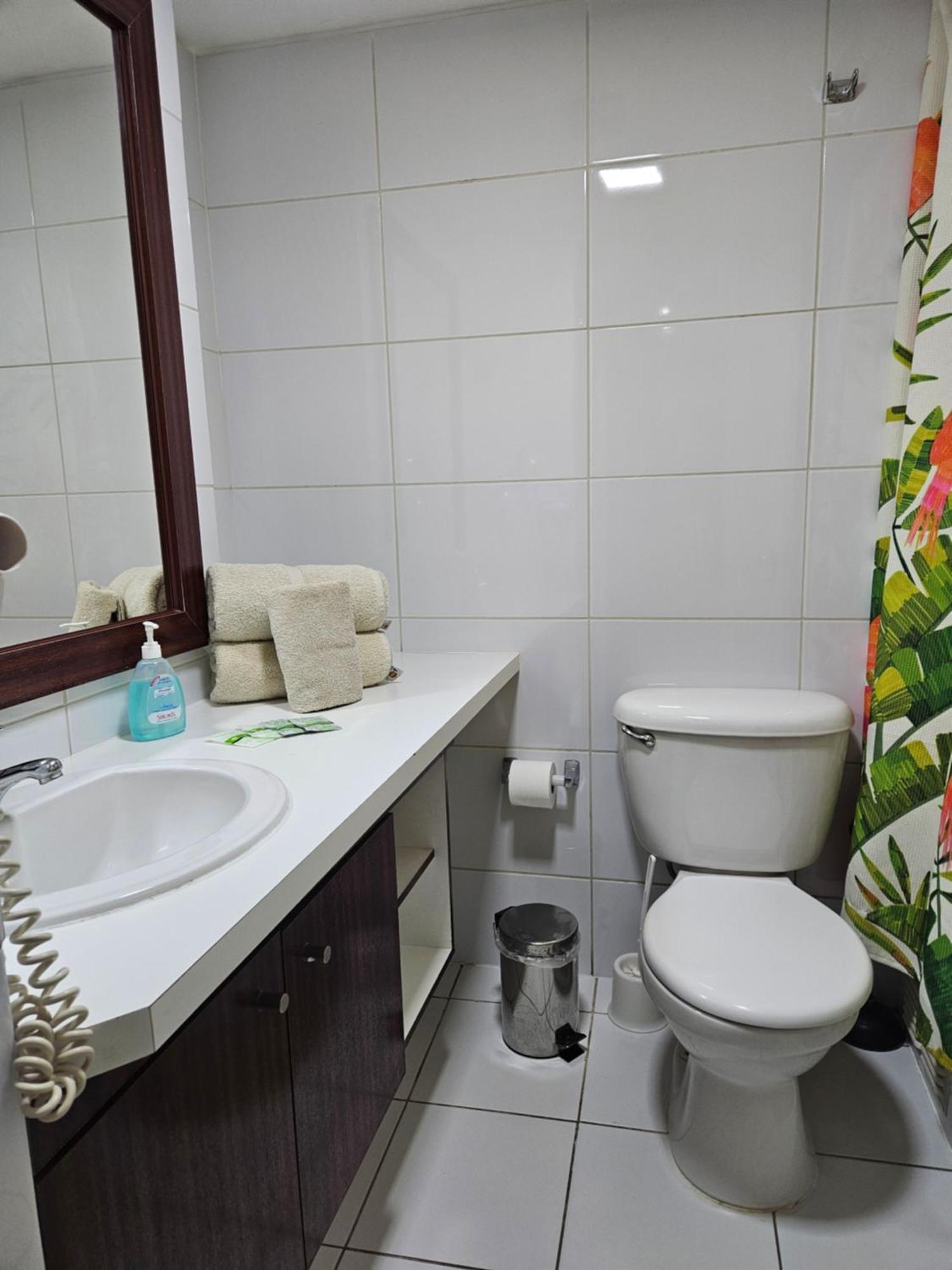 San Ignacio Suite Apartments Santiago de Chile Zewnętrze zdjęcie